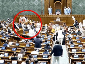 1_1770553635.gif