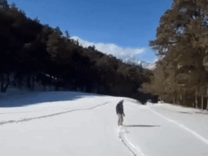 comp-1-14_1770547980.gif