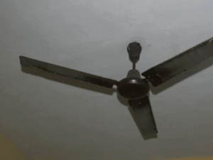 comp-156-3_1772181277.gif