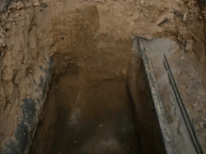 comp-2-1_1770459535.gif
