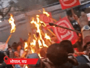 cover_1770877968.gif