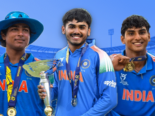 cricket_1770413469.gif