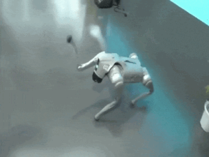 ezgifcom-optimize-1_1771385213.gif