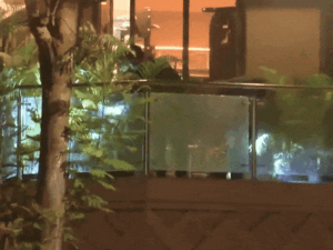 ezgifcom-optimize-3_1769901406.gif