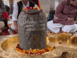 gifmagicsite-2026-02-22t003508735_1771700672.gif