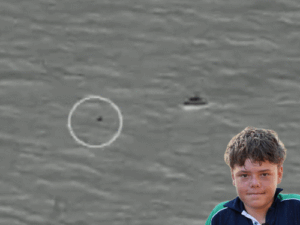 gifs-7_1770203891.gif