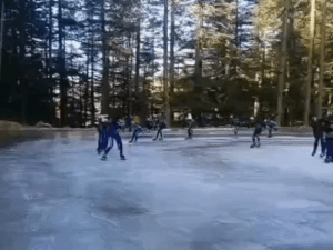 gifs13_1771336696.gif