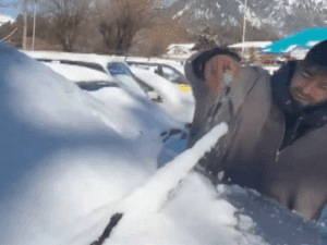 gifs21-2_1770824782.gif