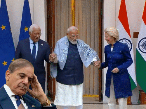gifs30-2_1769964007.gif