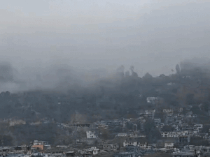 gifs35_1770739852.gif