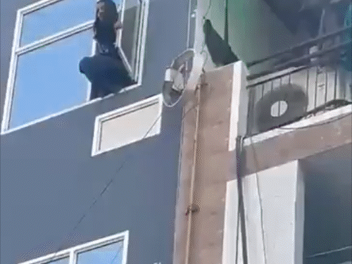 gifs3_1770984884.gif