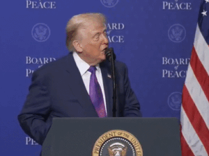 gifs_1771585524.gif