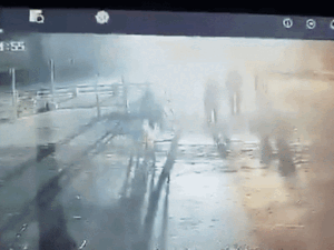 unnamed-61_1771985062.gif