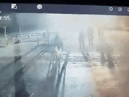 unnamed-61_1771985062.gif