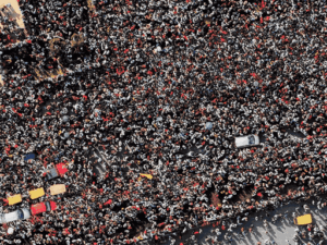 11_1774332410.gif