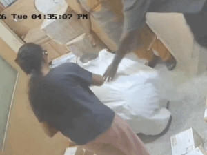 comp-113_1773821238.gif