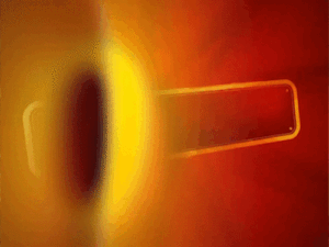 comp-127_1773495698.gif