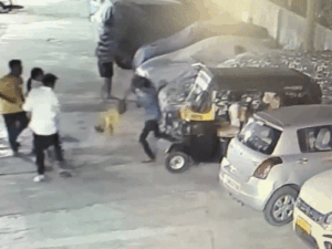 comp-16_1774961081.gif