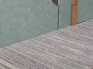 comp-32-1_1774547013.gif