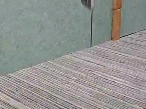 comp-32-1_1774547013.gif