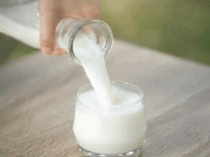 copyofdbtempphotoresize1-ezgifcom-resize_1774607175.gif