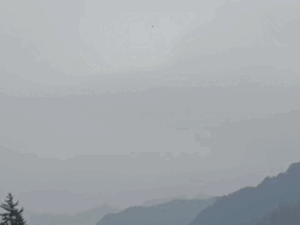 ezgif-736e067ad9a5789f1773448853_1773501371.gif
