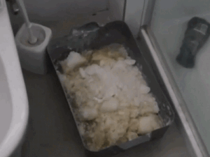 ezgifcom-resize-2026-03-29t220454549_1774802327.gif