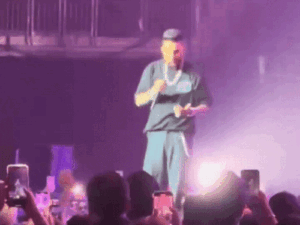 gif51725690037_1773472012.gif