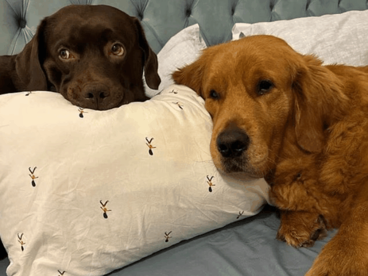 gifmagicsite-18_1773210706.gif