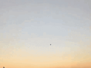 gifmagicsite-2026-03-04t123940854-1_1772607754.gif