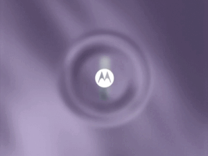 gifs13-1_1772811335.gif