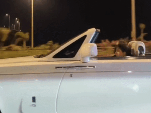 gifs14-1_1774195597.gif