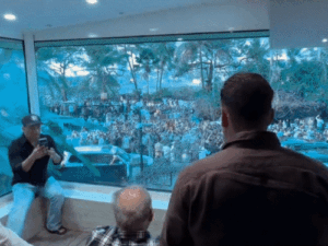 gifs1_1774105670.gif
