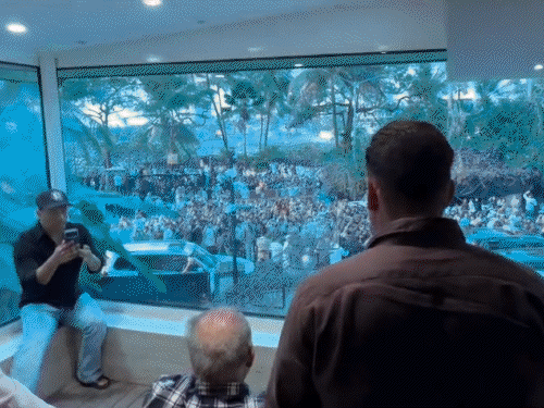 gifs1_1774105670.gif