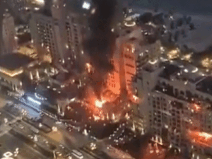 gifs23-2_1772294133.gif