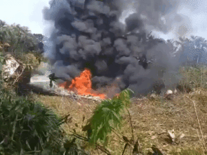 gifs29-2_1774284614.gif