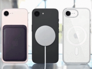 gifs29_1772469078.gif