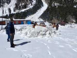 gifs36_1774458806.gif