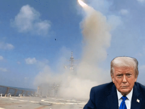 gifs50_1774623918.gif