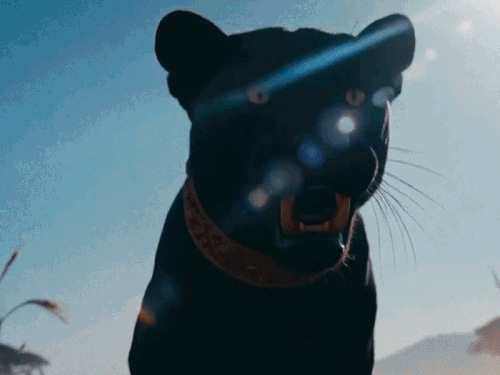 video-713-ezgifcom-resize-1_1773840304.gif