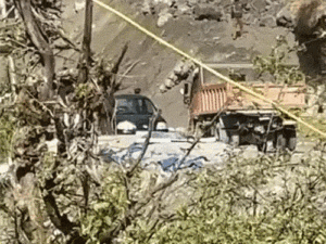 12_1776487523.gif