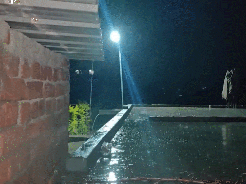comp-16_1775618270.gif