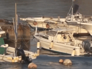 comp-172_1776682048.gif