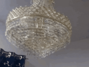 copy-of-db-temp-photo-resize-2_1775234775.gif