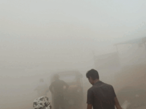 cover21_1775311961.gif