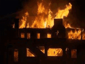 ezgifcom-animated-gif-maker-2026-04-28t072622806_1777341494.gif