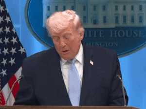 gifmagicsite-2026-04-06t225539511_1775495679.gif