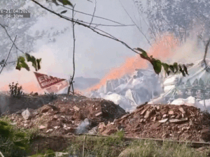 gifs15-2_1776778884.gif
