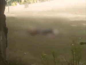 gifs2617453233751750081290_1776747103.gif