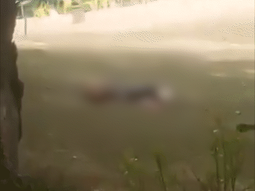 gifs2617453233751750081290_1776747103.gif